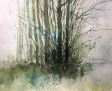 Winter Trees 3 24X34 Watercolour £90