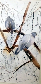 Wood Pigeons Watercolour/Ink 46 X 26 £68
