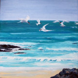 Colonsay terns, oils on canvas, block mounted, £150