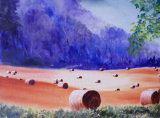 Glorious late summer, oils, 40x30cm, £200