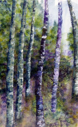 Silver birch, framed acrylics, £130