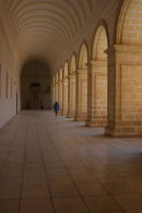 St Johns Co Cathedral