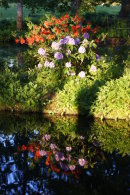 Sunset in Bo Park Sweden