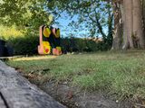 COBRA: more playground than early warning system