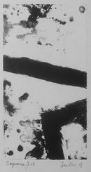Sequence 313