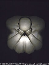 Jaume Plensa - See No Evil.