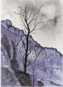 Tryfan from Braich y Ddeugwm