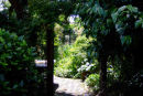 Garden Design / Garden Architecture