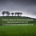 A blog entry example