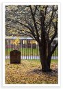 Autumn Alms