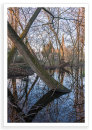Winter Reflections