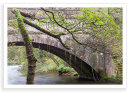 Aquaduct Autumn