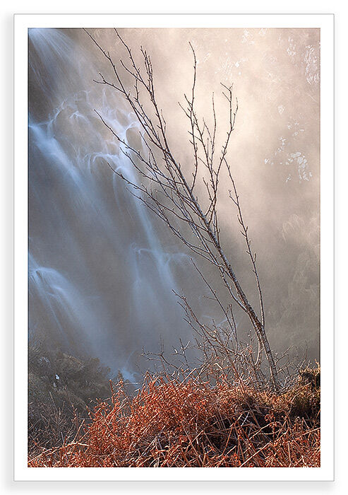 Backlit Falls