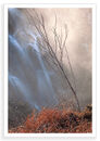 Backlit Falls