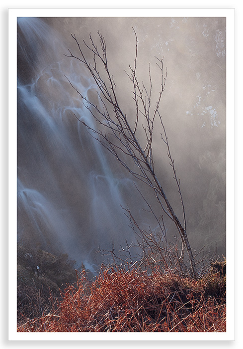 Backlit Falls