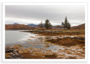 Dry Island 1