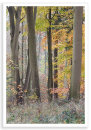 Bagley Pastel