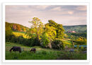 Belper Backdrop