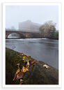 Mill and Mist