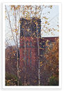 Autumn Mill