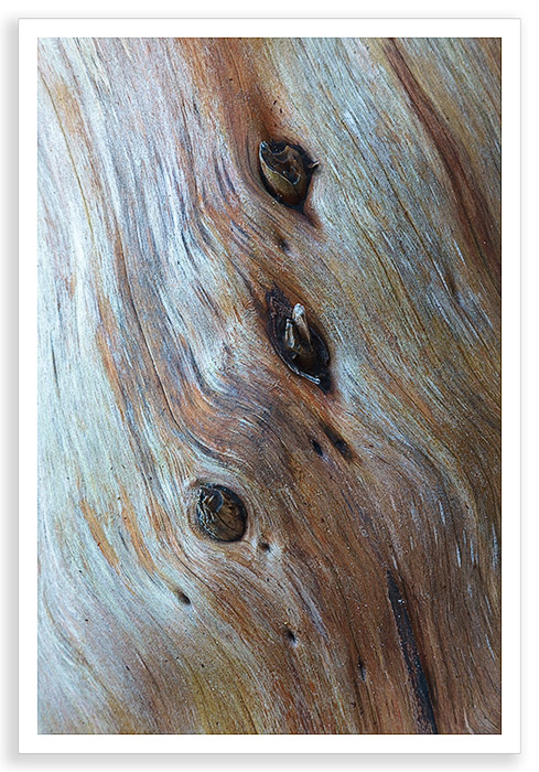 Used