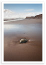Brook Bay 1