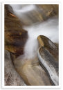 Wet Rocks