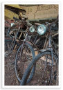 Bicycle Shed