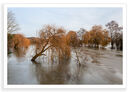 Culham Deluge