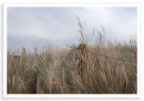 Duver Grass 2