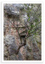 Fissure