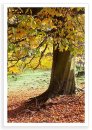 Peak Autumn 4