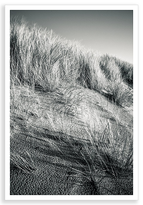 Dunes I