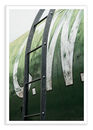 Green Tank