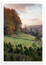 Dales View 1