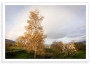 Above Aberfeldy