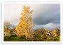 Above Aberfeldy