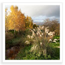Above Aberfeldy 2