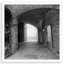 Fort Expression