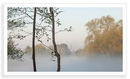 Easter Mist 2