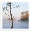 Easter Mist