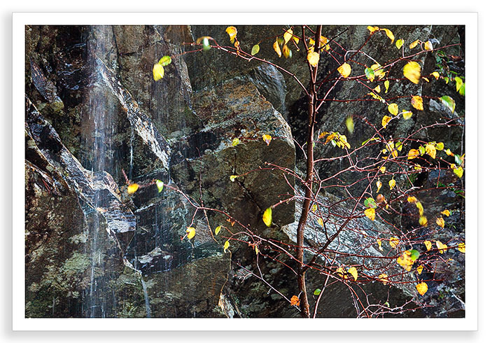 Water and Rock