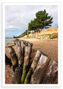 Lepe Sun Break