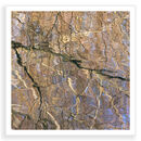 Lockside Reflections