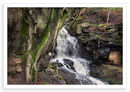 Lums Fall