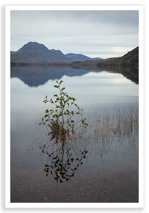 Maree Low Light