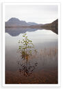 Maree Low Light
