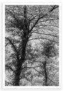 Seen Through