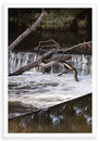 Milford Fall