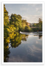 Derwent Early Autumn